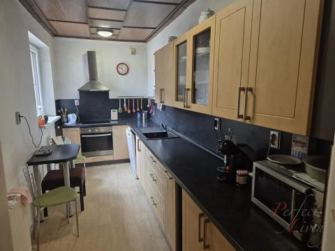 Prodej vícegeneračního domu, Kozomín, 520 m2