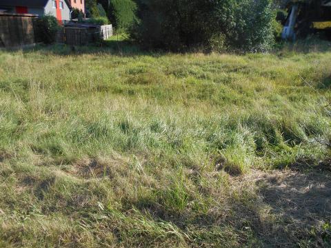 Prodej pozemku, Dolní Podluží, 850 m2