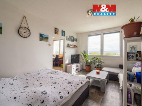 Prodej bytu 1+1, Krupka - Bohosudov, Kollárova, 35 m2