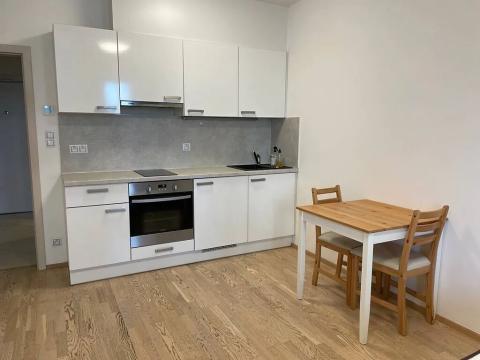Pronájem bytu 1+kk, Praha - Žižkov, Olšanská, 38 m2