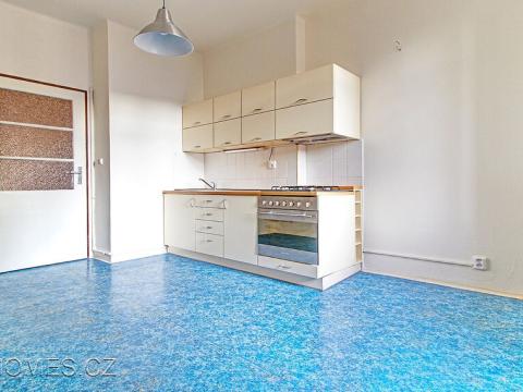 Pronájem bytu 1+1, Praha - Dejvice, Nikoly Tesly, 50 m2