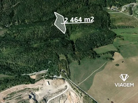 Prodej lesa, Loděnice, 2464 m2