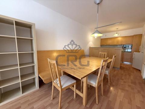 Pronájem bytu 2+kk, Brno - Lesná, Haškova, 87 m2