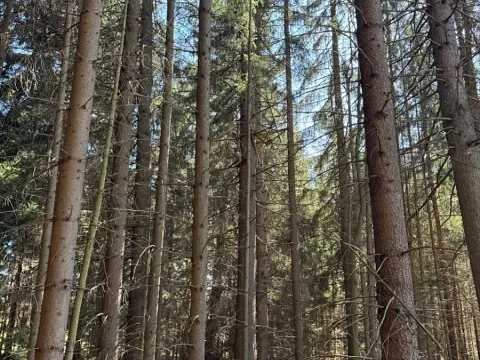 Prodej podílu pozemku, Studená, 18432 m2