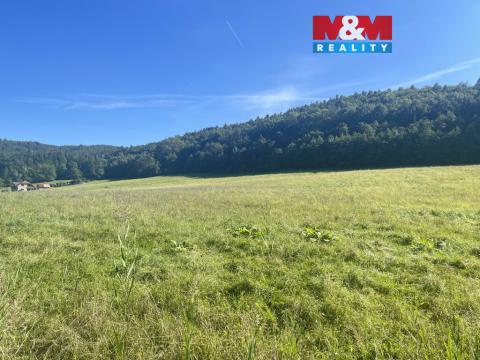 Prodej pozemku pro bydlení, Střílky, 4460 m2