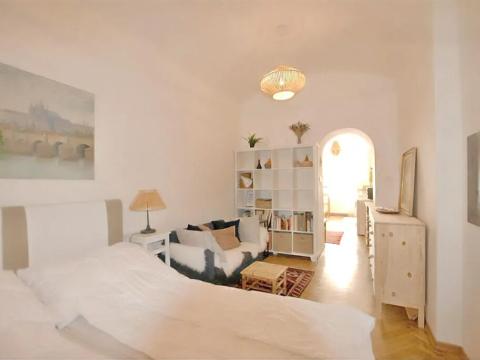 Pronájem bytu 1+1, Praha - Nusle, Sekaninova, 30 m2