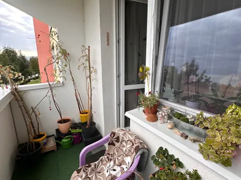 Prodej bytu 1+1, Brno, Foltýnova, 44 m2