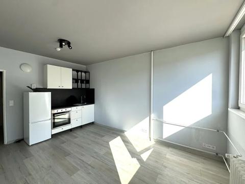Pronájem bytu 1+kk, Praha - Střížkov, Děčínská, 28 m2