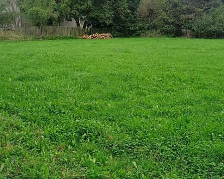 Prodej pozemku, Králova Lhota, 2640 m2