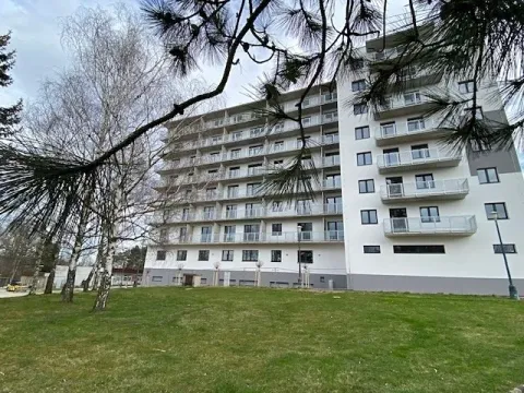 Pronájem bytu 1+kk, Jihlava, Okružní, 35 m2