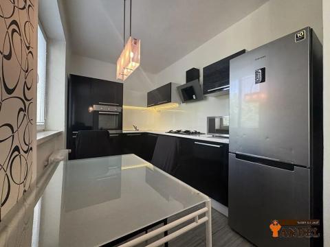 Pronájem bytu 1+1, Havířov, Dělnická, 37 m2