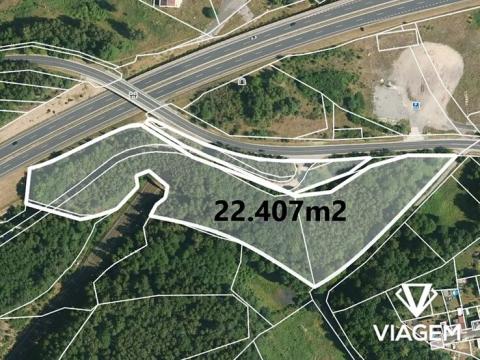 Prodej lesa, Nové Sedlo, 22407 m2