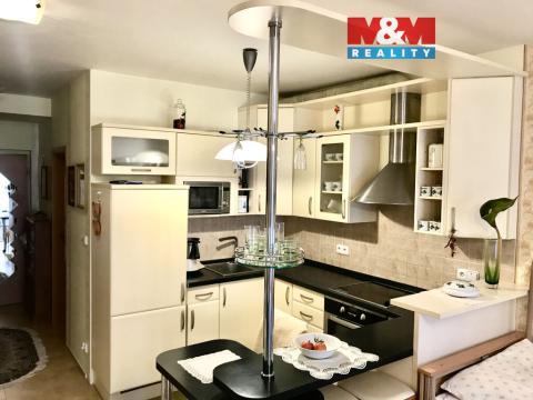 Pronájem bytu 1+kk, Zlín, Pasecká, 46 m2