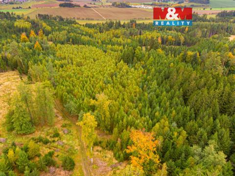 Prodej lesa, Černíkov, 12446 m2