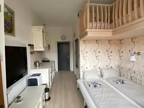 Pronájem bytu 1+kk, Slapy, 22 m2
