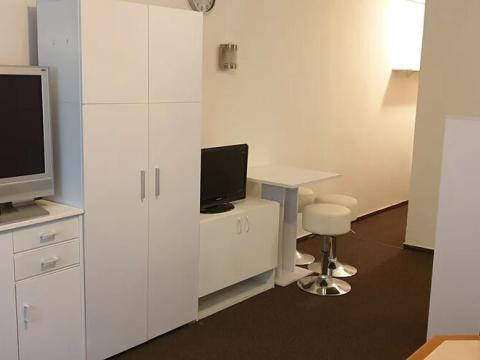 Pronájem bytu 1+kk, Teplice, Petra Jilemnického, 30 m2