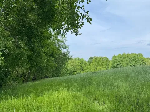 Prodej louky, Český Dub, 58420 m2