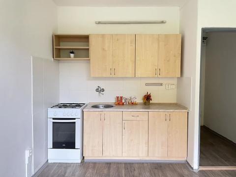 Pronájem bytu 1+1, Litvínov, Tylova, 38 m2