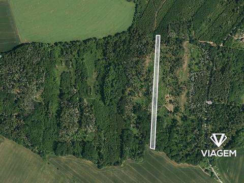 Prodej podílu lesa, Lukovany, 7046 m2