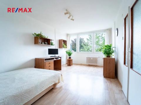 Pronájem bytu 1+1, Kolín, Na Magistrále, 37 m2