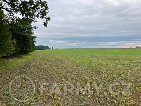 Prodej podílu pole, Dolní Roveň, 62359 m2