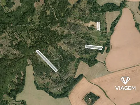 Prodej podílu lesa, Všepadly, 1092 m2