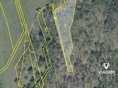 Prodej podílu lesa, Švihov, 220 m2