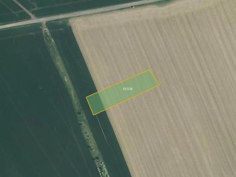 Prodej pole, Beňov, 4181 m2