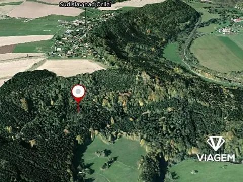 Prodej podílu lesa, Sudislav nad Orlicí, 21329 m2