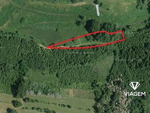 Prodej podílu lesa, Budeč, 2254 m2