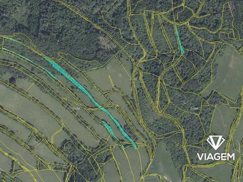 Prodej podílu lesa, Zubrnice, 2835 m2