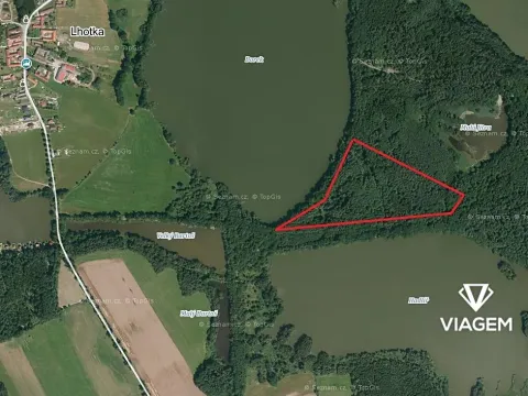 Prodej podílu lesa, Olešnice, 1518 m2