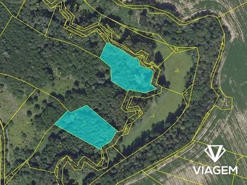 Prodej lesa, Praha, 5555 m2