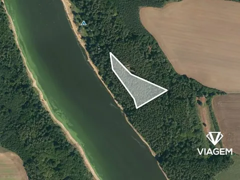 Prodej lesa, Slabčice, 6018 m2