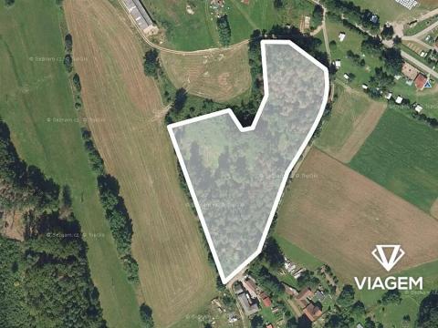 Prodej podílu lesa, Světlá nad Sázavou, 5589 m2