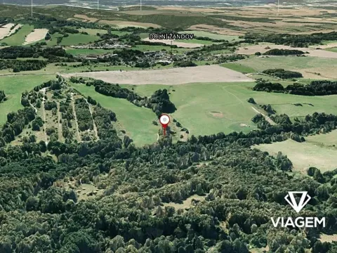 Prodej pole, Dolní Žandov, 1924 m2