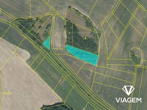 Prodej pole, Plumlov, 2364 m2