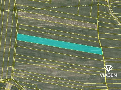 Prodej podílu pole, Slabčice, 2944 m2