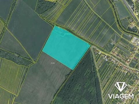 Prodej podílu pole, Nezdenice, 1098 m2