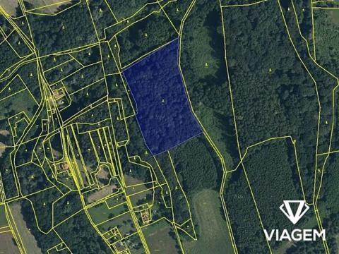 Prodej podílu lesa, Doubrava, 1081 m2