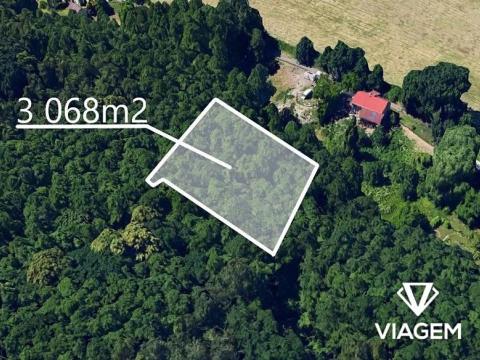 Prodej podílu lesa, Dolní Lutyně, 306 m2