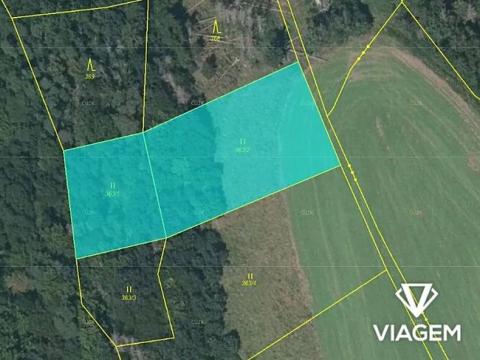 Prodej lesa, Krhov, 3039 m2