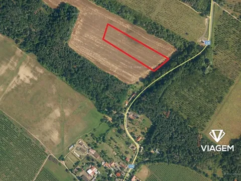 Prodej podílu pole, Horušice, 2336 m2