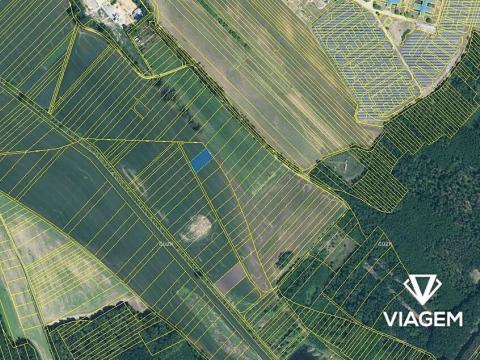 Prodej pole, Hovorany, 1475 m2