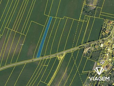 Prodej podílu pole, Heřmanův Městec, 1601 m2