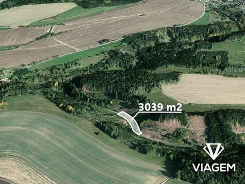 Prodej pole, Němčice, 3039 m2