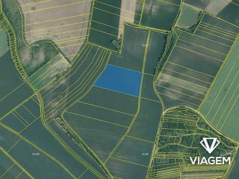 Prodej podílu pole, Syrovice, 1177 m2