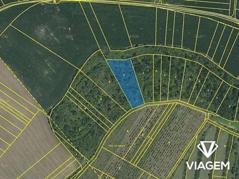 Prodej pole, Kobylí, 4483 m2