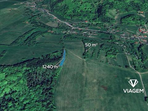 Prodej podílu lesa, Tichá, 40 m2