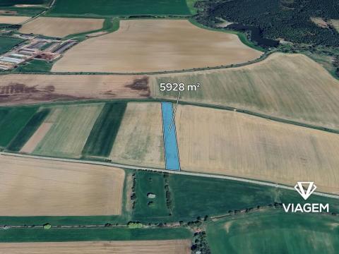 Prodej podílu pole, Dražíč, 658 m2